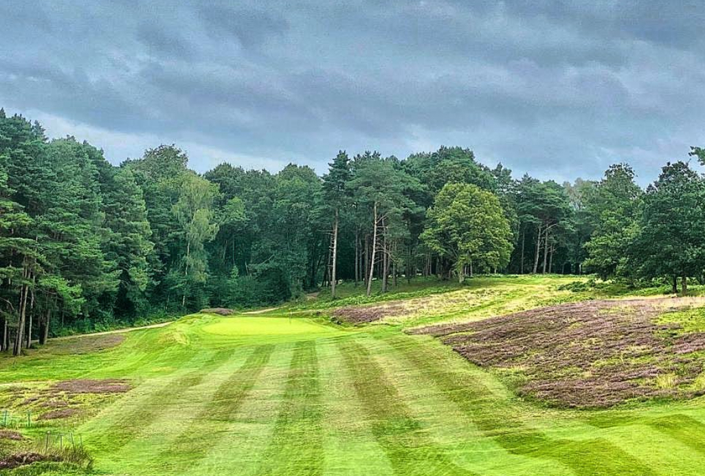 Royal Ashdown Forest (Old)