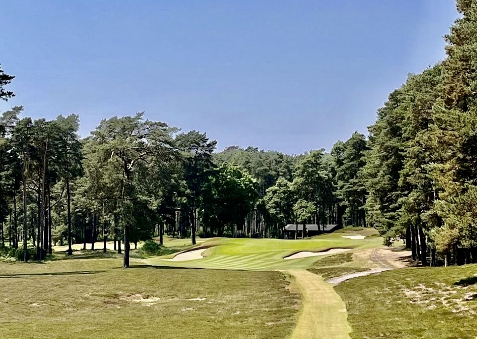 Sunningdale (New)