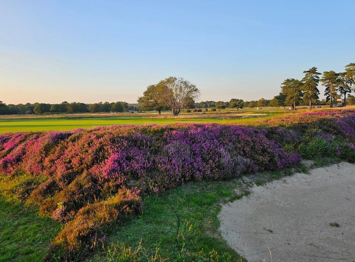 Walton Heath (New)