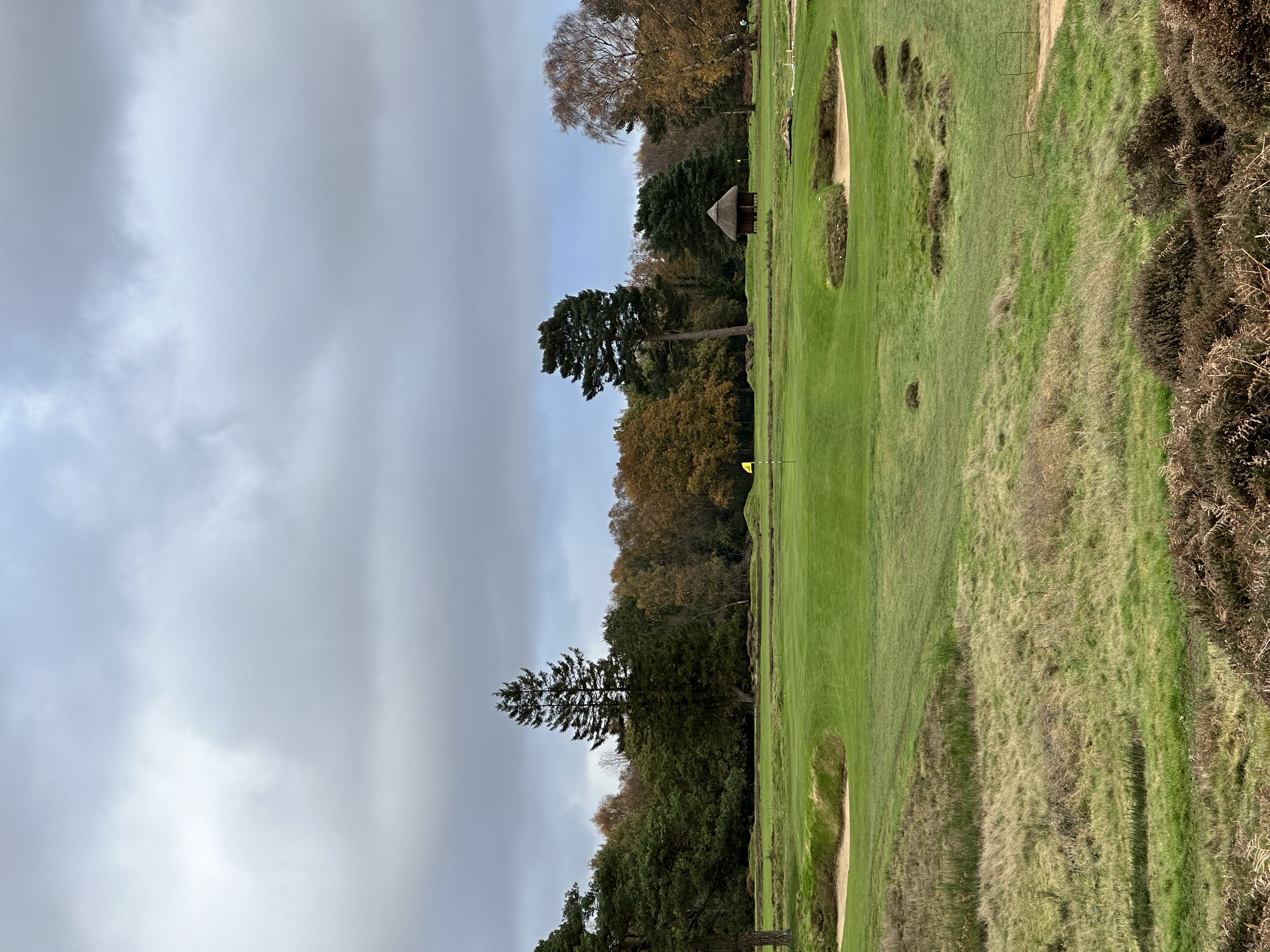 Walton Heath (Old)